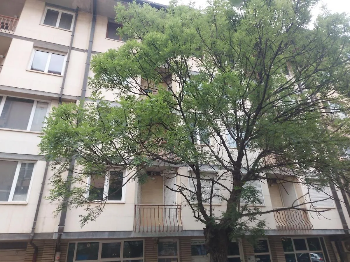 Guest house Budget Rooms & Apartaments Sofia